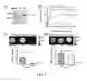 Fig. 10 - CHEMICAL EXCHANGE SATURATION TRANSFER (CEST) BASED MRI USING REPORTER GENES AND SUBSTRATES AND METHODS THEREOF