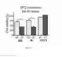 Fig. 33 - CHEMICAL EXCHANGE SATURATION TRANSFER (CEST) BASED MRI USING REPORTER GENES AND SUBSTRATES AND METHODS THEREOF