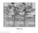 Fig. 12 - CHITIN AND ALGINATE COMPOSITE FIBERS