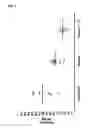 Fig. 04 - SEALANT COMPOSITIONS
