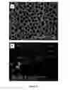 Fig. 03 - Peripheral nerve growth conduit