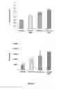Fig. 08 - Peripheral nerve growth conduit