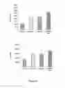 Fig. 09 - Peripheral nerve growth conduit