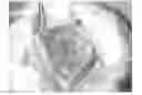 Fig. 01 - Antibacterial cornea repair material and preparation method thereof