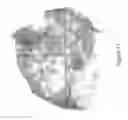 Fig. 10 - Methods, substrates, and systems useful for cell seeding of medical grafts