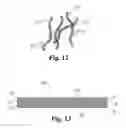 Fig. 12 - Methods, substrates, and systems useful for cell seeding of medical grafts
