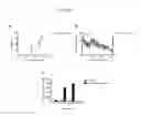 Fig. 13 - Cellular transplant site