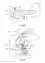 Fig. 04 - Systems and methods for treating cancer and/or augmenting organ function