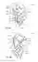 Fig. 07 - Systems and methods for treating cancer and/or augmenting organ function