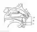 Fig. 01 - Delivery Device and Method