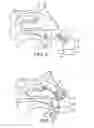 Fig. 03 - Delivery Device and Method