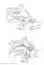 Fig. 06 - Delivery Device and Method