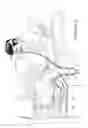 Fig. 03 - ORO-NASAL PATIENT INTERFACE