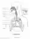 Fig. 05 - ORO-NASAL PATIENT INTERFACE