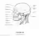 Fig. 13 - ORO-NASAL PATIENT INTERFACE