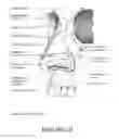 Fig. 14 - ORO-NASAL PATIENT INTERFACE