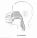 Fig. 29 - ORO-NASAL PATIENT INTERFACE