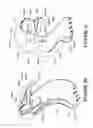 Fig. 53 - ORO-NASAL PATIENT INTERFACE