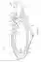 Fig. 12 - Sterile molded dispenser