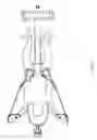 Fig. 09 - Functional training equipment with multiple movement planes used for press exercises