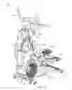 Fig. 23 - Exercise machine