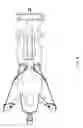Fig. 09 - Functional training equipment with multiple movement planes used for lower body exercises
