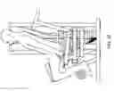 Fig. 46 - Functional training equipment with multiple movement planes used for lower body exercises