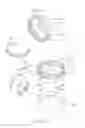 Fig. 10 - Wrist exerciser having a protective structure
