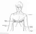 Fig. 07 - System for optimal exercise and training