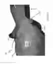 Fig. 14 - Games controller