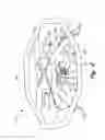 Fig. 03 - INCLUSIVE ROTATING PLAY DEVICE