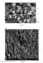 Fig. 04 - Filter material comprising an expanded polytetrafluoroethylene containing layer and a natural fiber containing layer