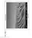 Fig. 11 - Polyaniline membranes formed by phase inversion for forward osmosis applications