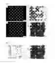 Fig. 04 - Method for combinatorial particle manipulation for producing high-density molecule arrays, in particular peptide arrays, and molecule arrays that can be obtained by means thereof