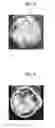 Fig. 04 - Method for manufacturing excretion disposal material and excretion disposal material