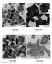 Fig. 19 - Silver nanowires, methods of making silver nanowires, core-shell nanostructures, methods of making core-shell nanostructures, core-frame nanostructures, methods of making core-frame nanostructures