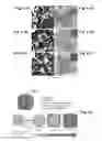 Fig. 34 - Silver nanowires, methods of making silver nanowires, core-shell nanostructures, methods of making core-shell nanostructures, core-frame nanostructures, methods of making core-frame nanostructures