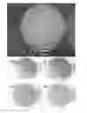 Fig. 01 - Multimetallic Anionic Clays and Derived Products for SOx Removal in the Fluid Catalytic Cracking Process