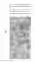 Fig. 04 - CATALYST FOR REDUCING NITROGEN OXIDES AND METHOD FOR PRODUCING THE SAME