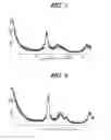 Fig. 02 - Inorganic ion adsorbent and method for producing same