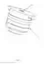 Fig. 02 - SHOWERHEAD WITH OSCILLATING WATER