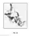 Fig. 06 - Composition containing spherical and coral-shaped nanoparticles and method of making same