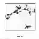 Fig. 08 - Composition containing spherical and coral-shaped nanoparticles and method of making same