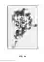 Fig. 10 - Composition containing spherical and coral-shaped nanoparticles and method of making same