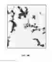 Fig. 06 - System and method for making non-spherical nanoparticles and nanoparticle compositions made thereby