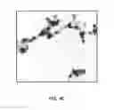 Fig. 07 - System and method for making non-spherical nanoparticles and nanoparticle compositions made thereby
