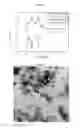 Fig. 03 - Method of preparing pure precious metal nanoparticles with large fraction of (100) facets, nanoparticles obtained by this method and their use