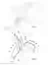 Fig. 02 - Cutting tip