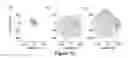Fig. 13 - Methods and apparatus for early sensory integration and robust acquisition of real world knowledge