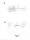 Fig. 03 - Portable Multifunctional Multimedia Device for Personal Services Industry and Mounting System and Methods of Use